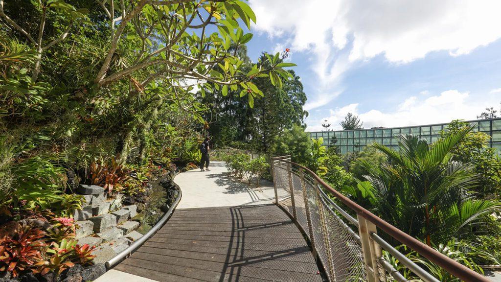 National Orchid Garden
