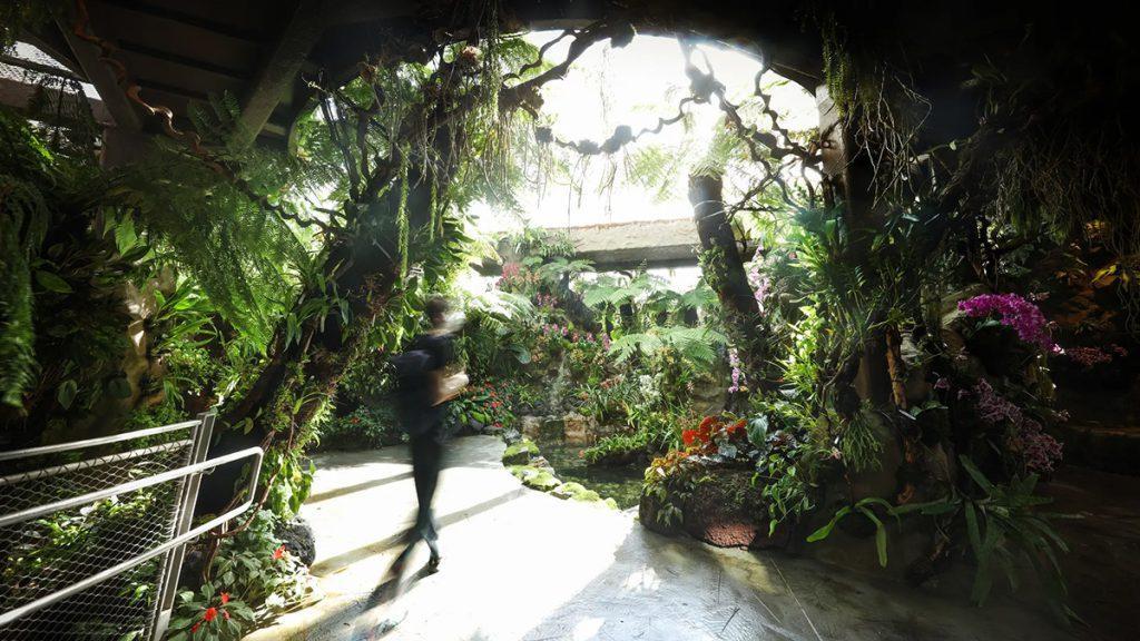 National Orchid Garden
