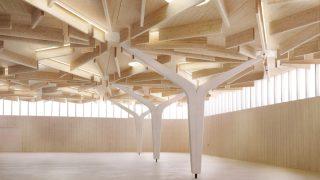 Ophelis Ausstellungshalle, Ludloff Ludloff Architekten, Bad Schönborn, Holzbau