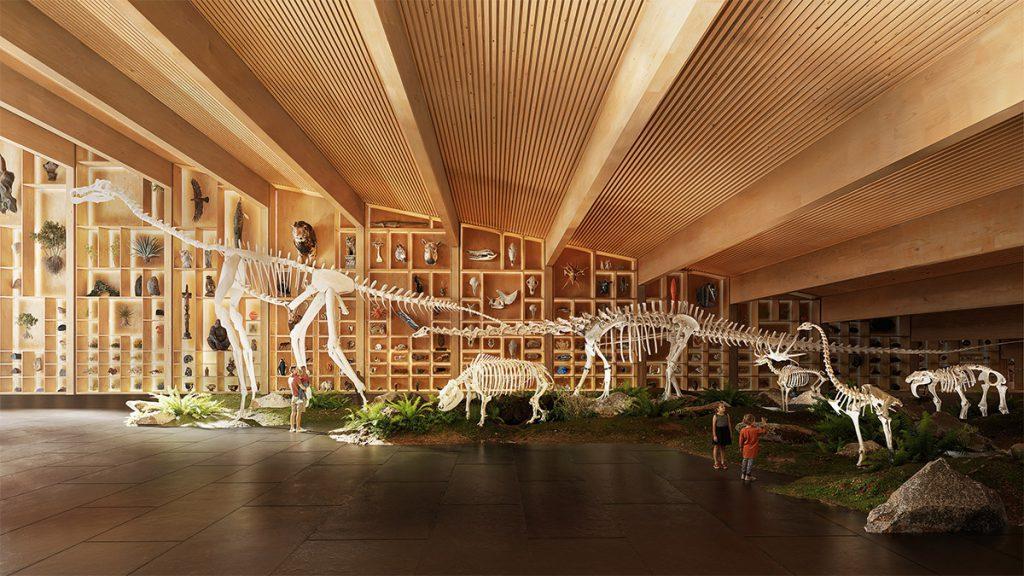 Naturkundemuseum in Holz und Wald (Bild: BIG)