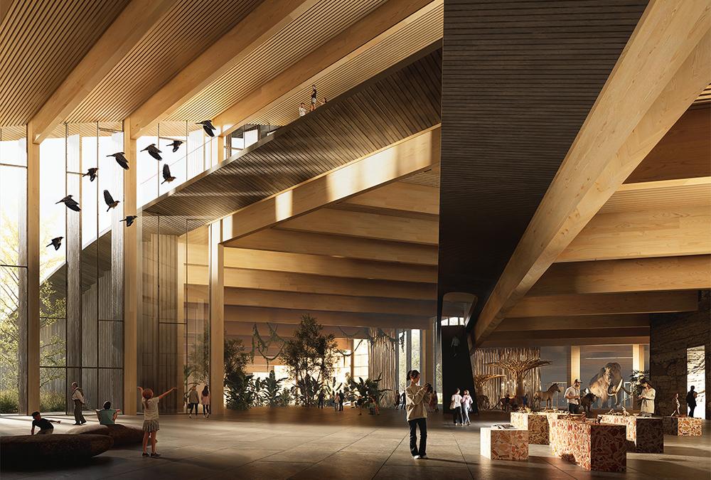 Hohe Räume, klare Linien, viel Holz und Licht: So wird das Innenleben des neuen Naturkundemuseums in Debrecen den Entwürfen der BIG-Architekten zufolge aussehen. (Bild: BIG)